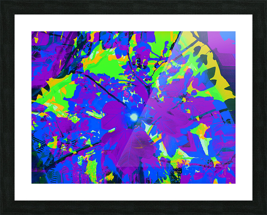 Figrow 2 Picture Frame print
