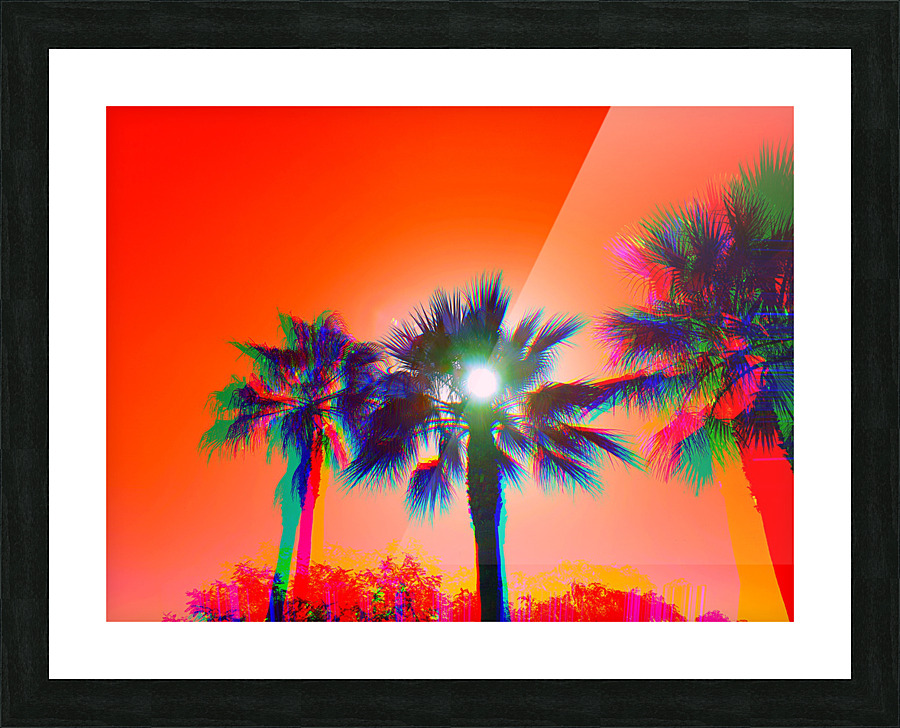 SunPalm 1 Picture Frame print