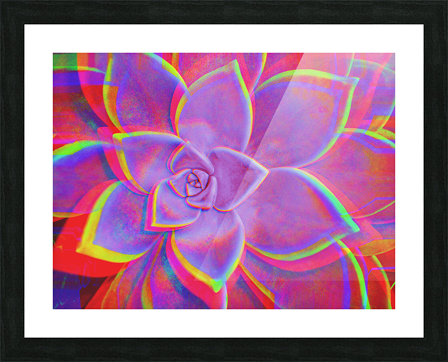 Geo Succulent2 Picture Frame print