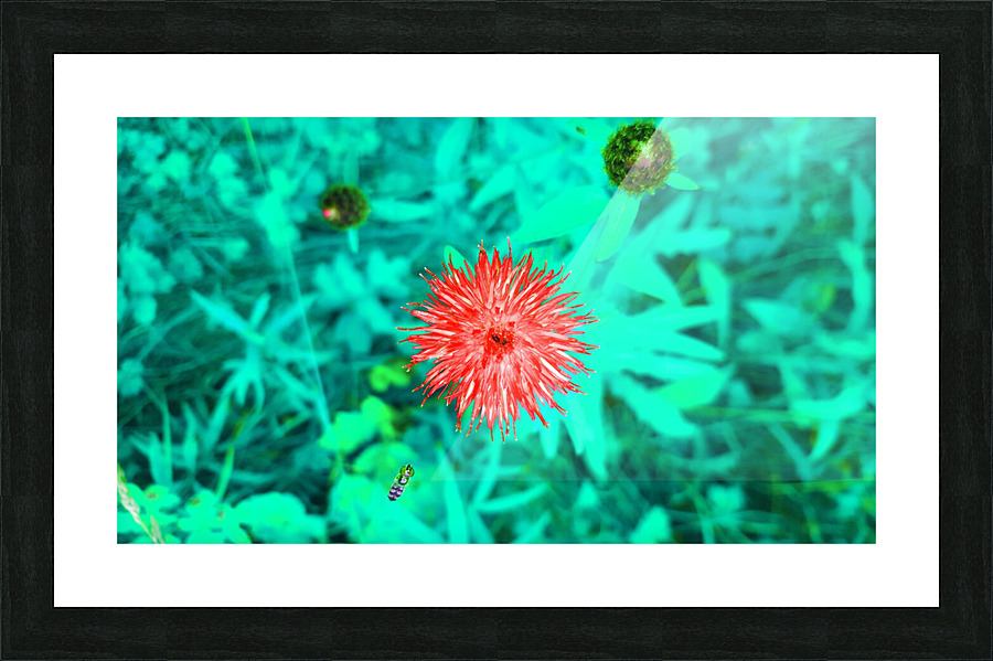 Hover 1 Picture Frame print