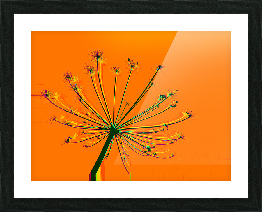 Tikler 3 Picture Frame print