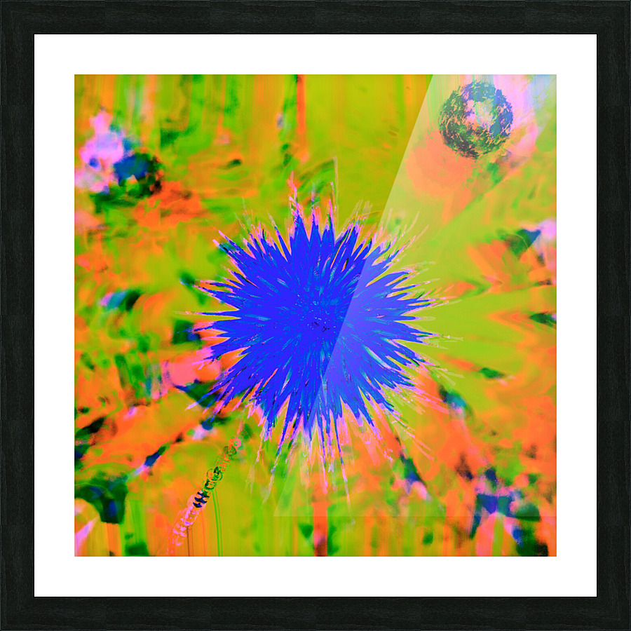 Hover 6 Picture Frame print