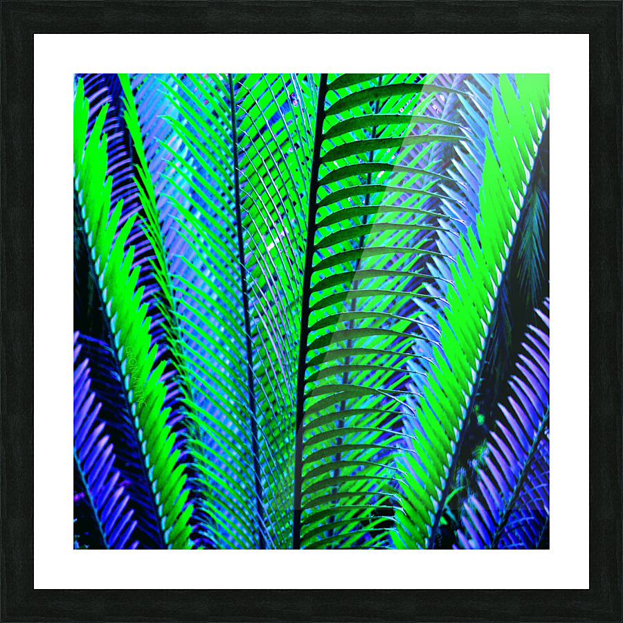 Furn 1G Picture Frame print