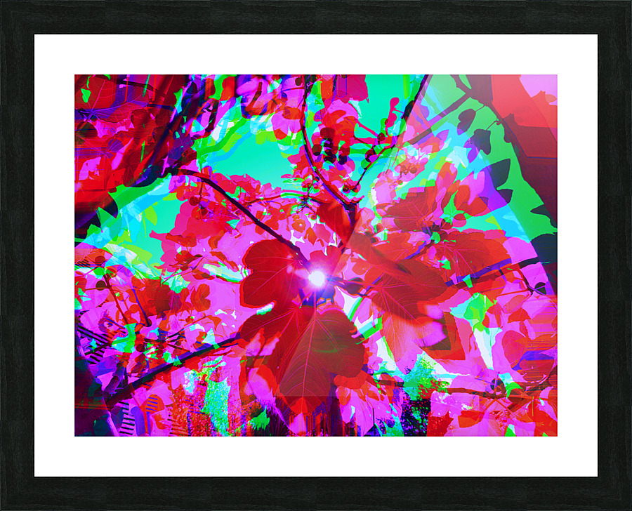 Figrow 1 Picture Frame print