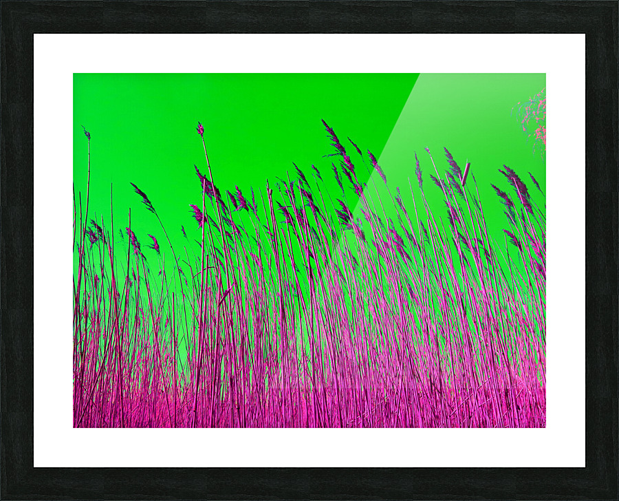 Rush 3 Picture Frame print
