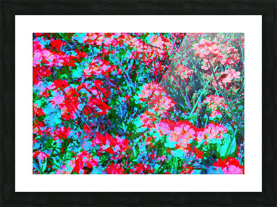 Wildflower 1 Picture Frame print