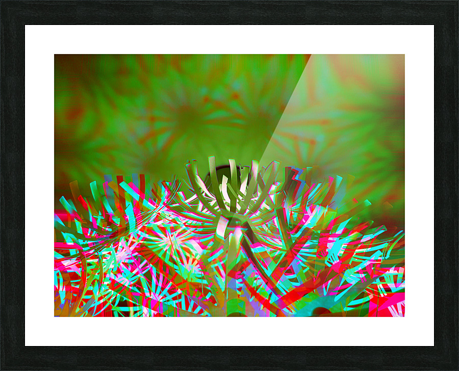 Spyda 1 Picture Frame print