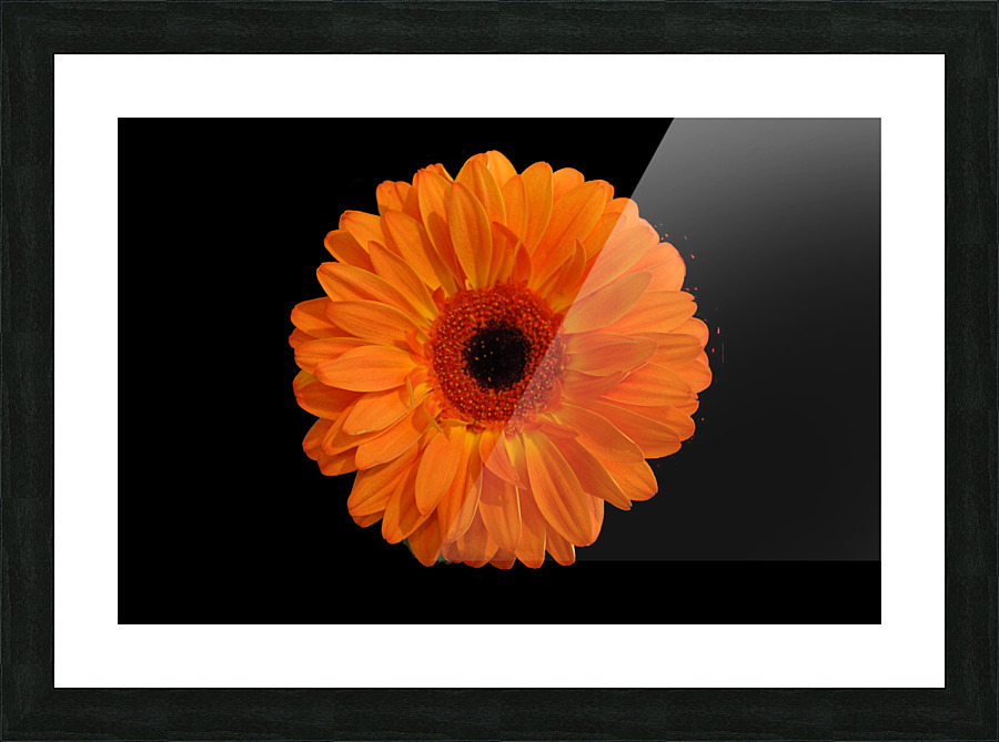 Orangebom 1 Picture Frame print