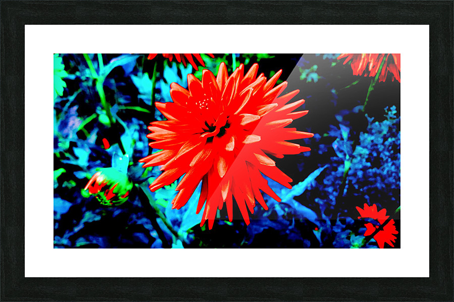 Spyk 2 Picture Frame print
