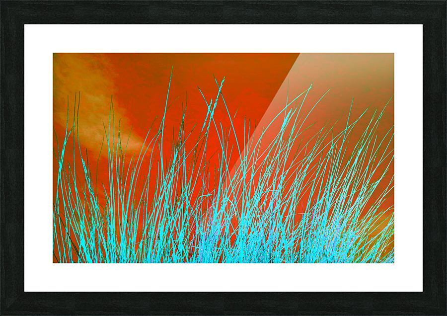 Tunes 3G Picture Frame print