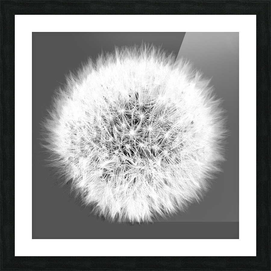 20220908 222437 Picture Frame print