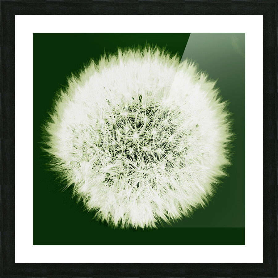 20220908 222816 Picture Frame print