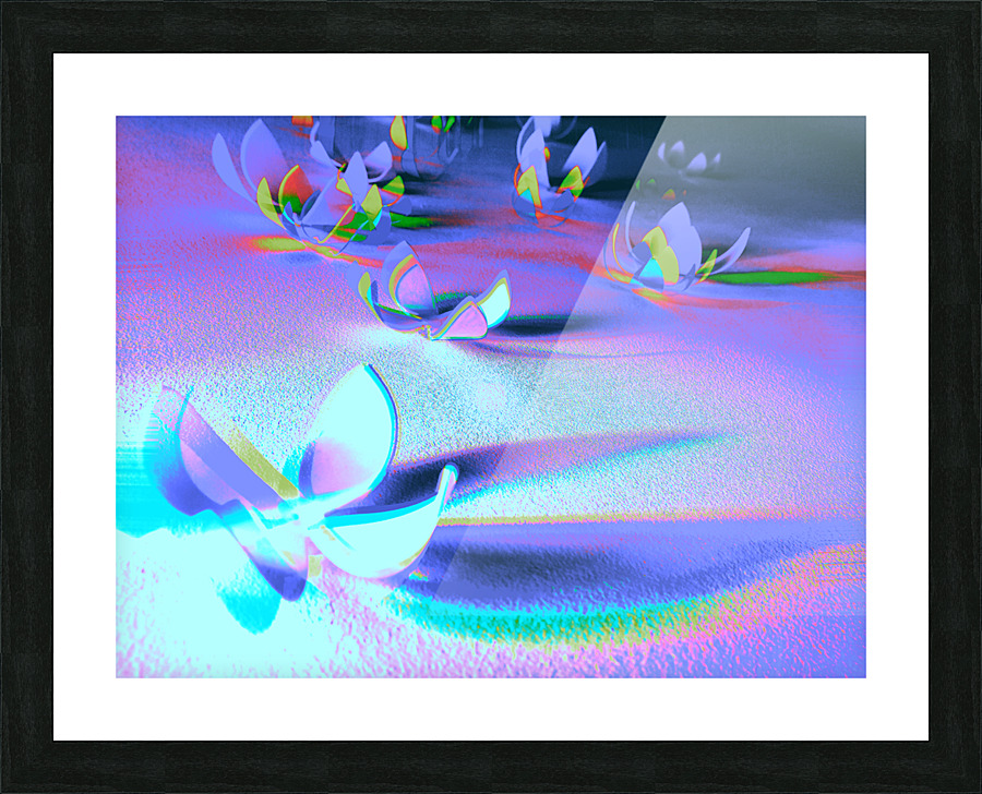 Flutter 3 Picture Frame print