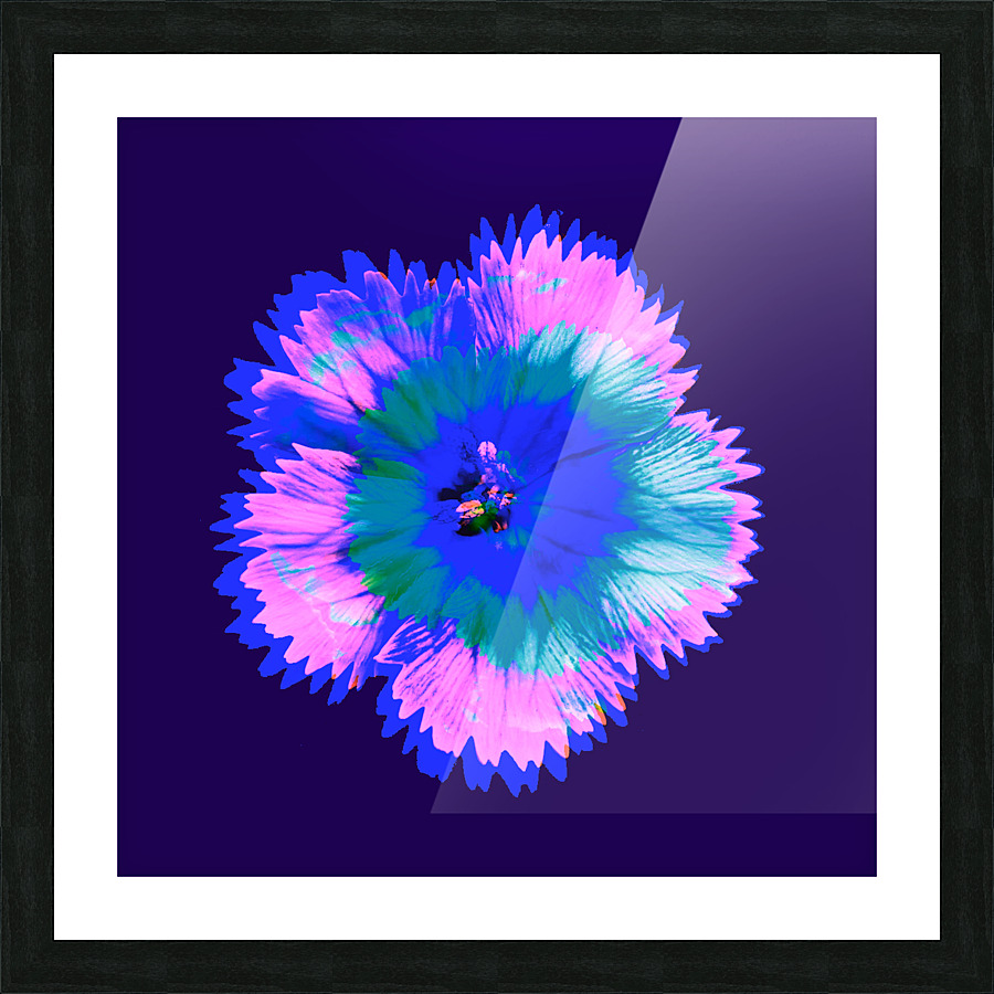 Confetti 7.v1 Picture Frame print