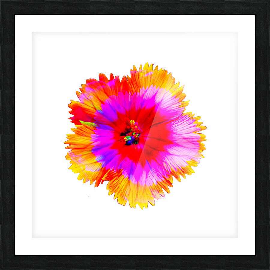 Confetti 4.v1 Picture Frame print