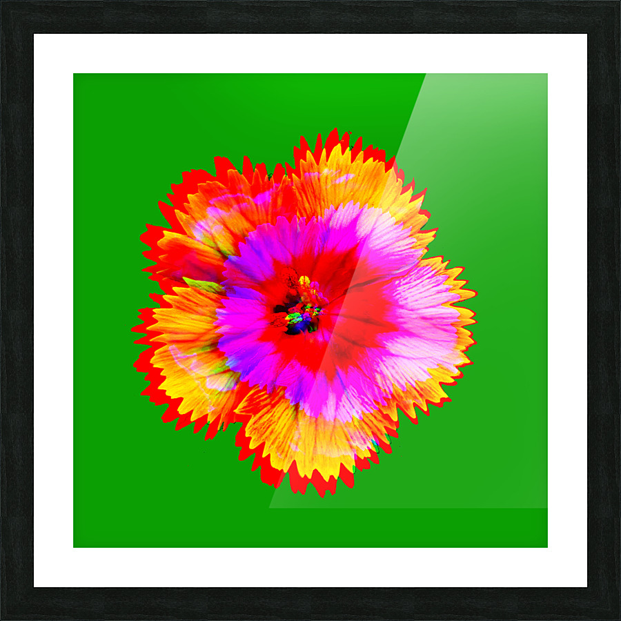 Confetti 8.v1 Picture Frame print