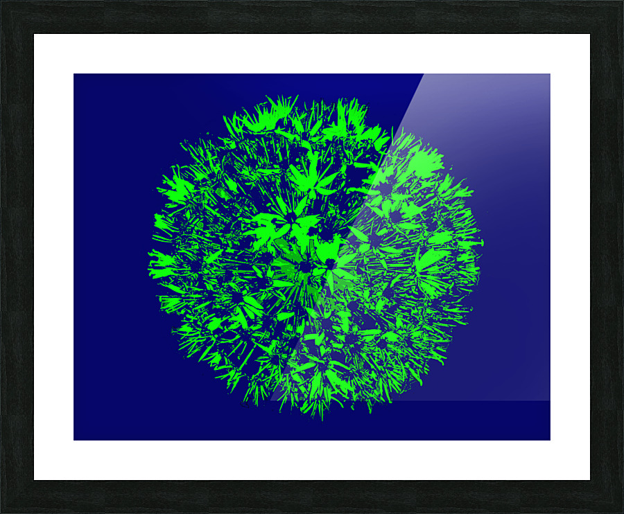 Flarer 9 Picture Frame print