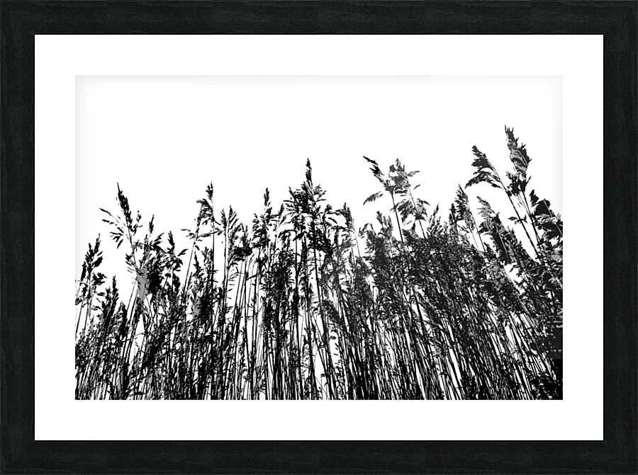 Dunestem 3 Picture Frame print