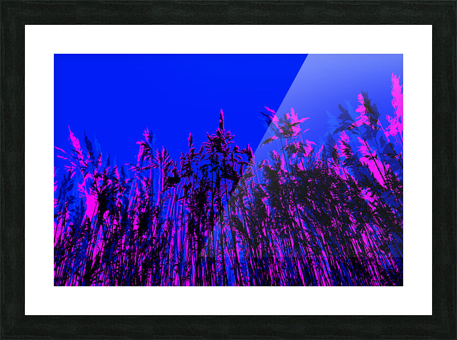 Dunestem 4 Picture Frame print