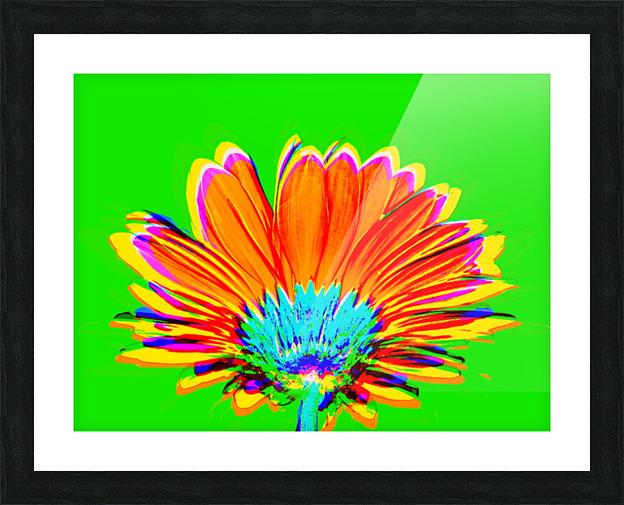 Geraisy 7 Picture Frame print