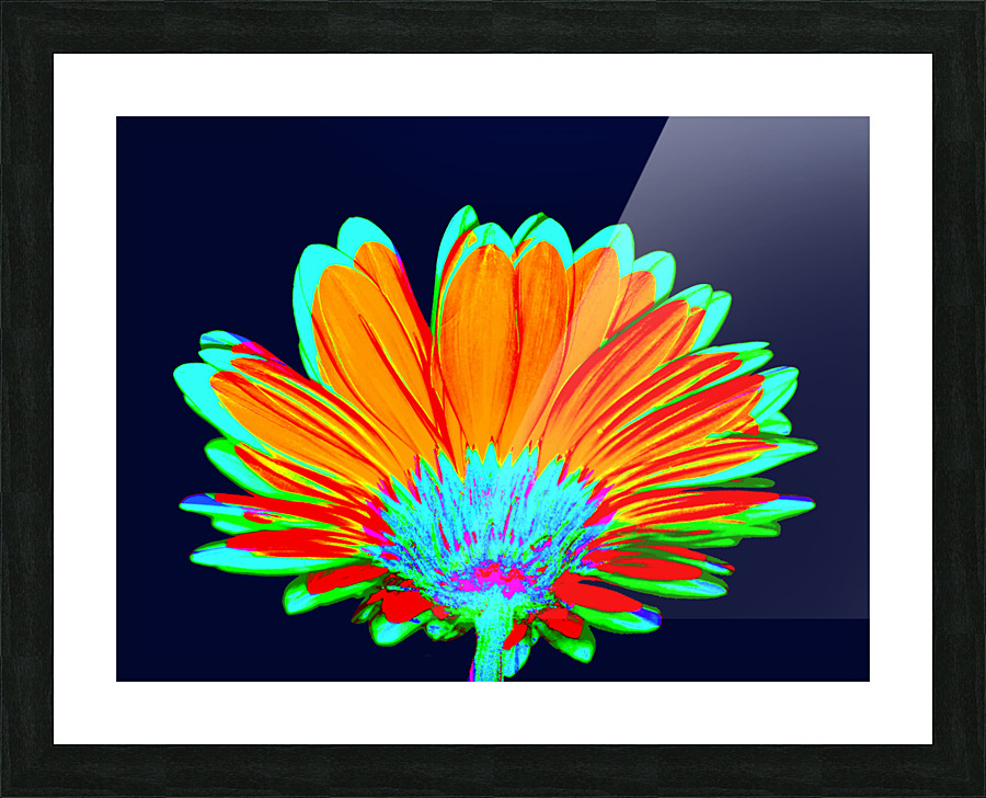 Geraisy 5 Picture Frame print