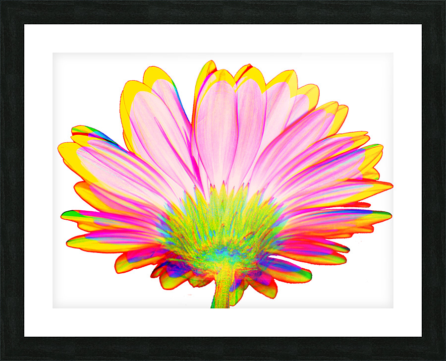 Geraisy 1 Picture Frame print