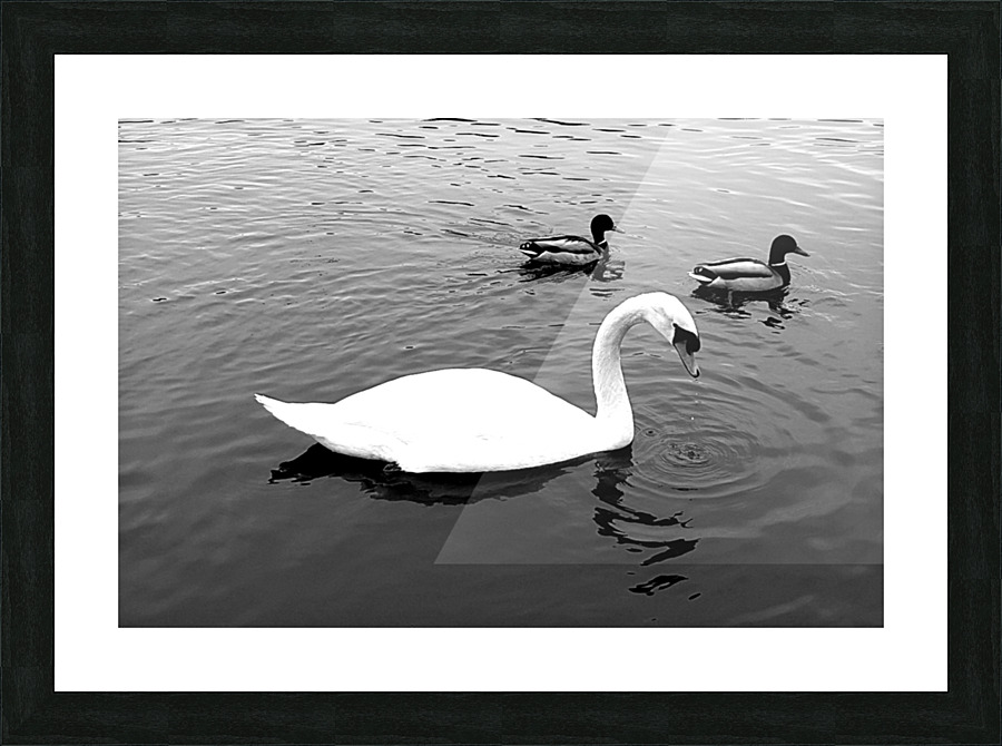 Sefton 1 Picture Frame print