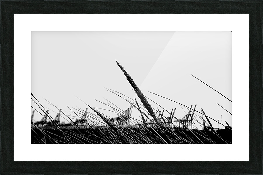 Swept 1 Picture Frame print