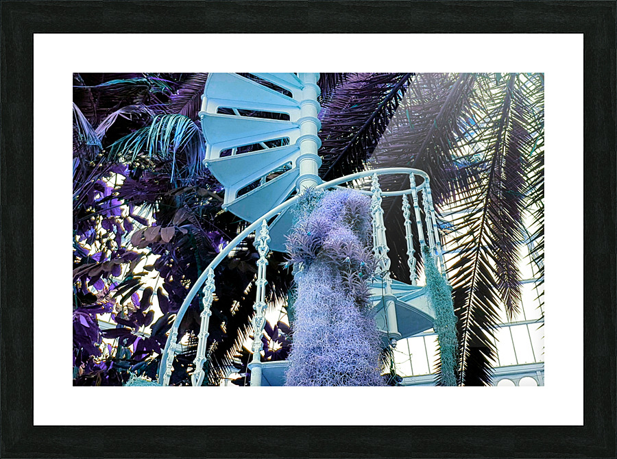 Spiral 1 Picture Frame print