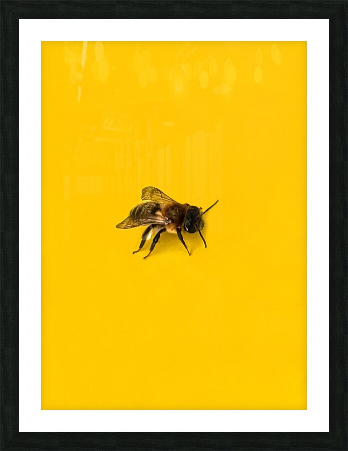 HuneeBig 1 Picture Frame print