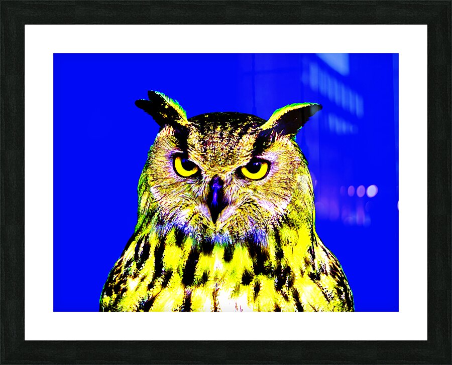 Sage 4LG Picture Frame print