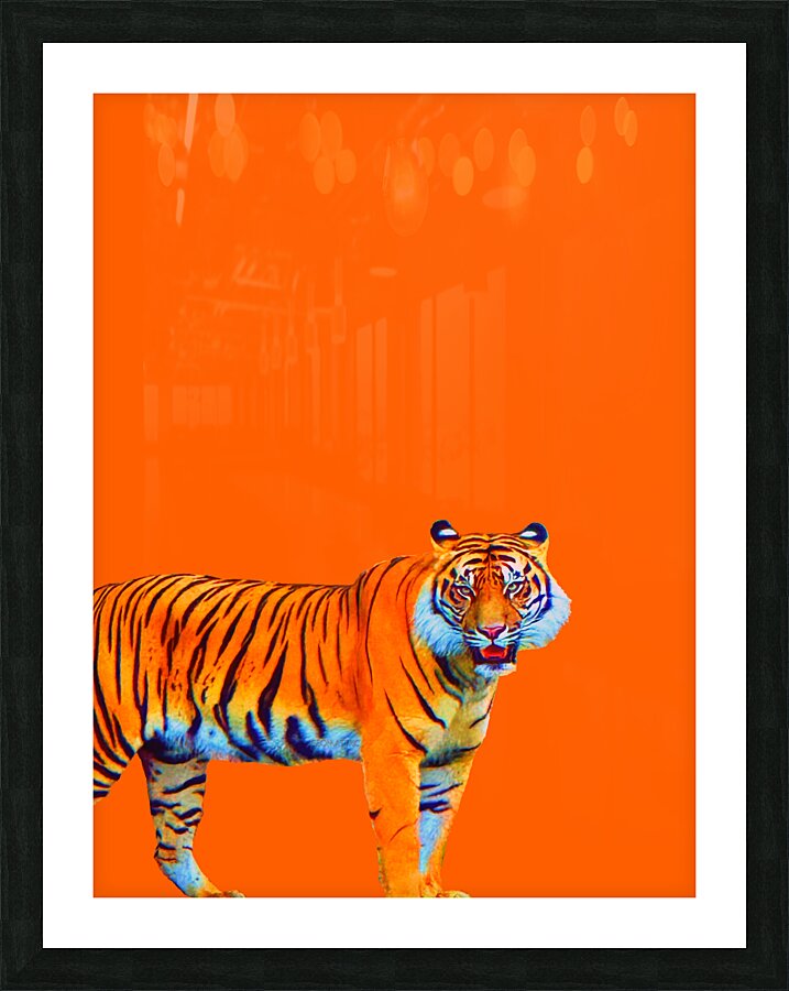 Suma 1 Picture Frame print