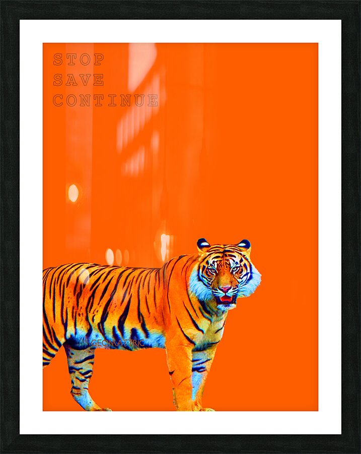 Suma inc message 1 Picture Frame print