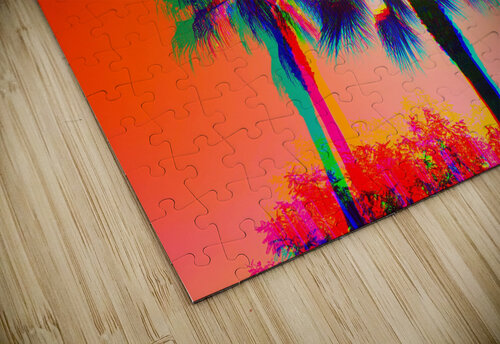 SunPalm 1 Matt Riceman puzzle