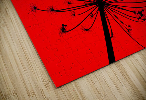 Tikler 1 Matt Riceman puzzle