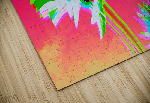 Hickling 5 Matt Riceman puzzle