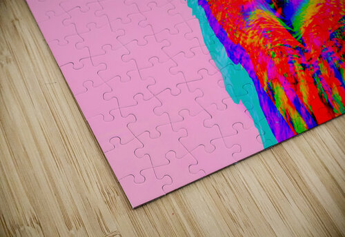 Sage 1 Matt Riceman puzzle