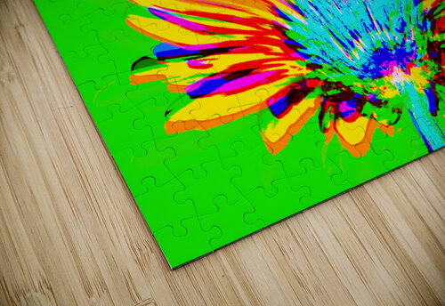 Geraisy 7 Matt Riceman puzzle