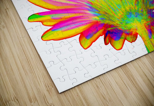 Geraisy 1 Matt Riceman puzzle