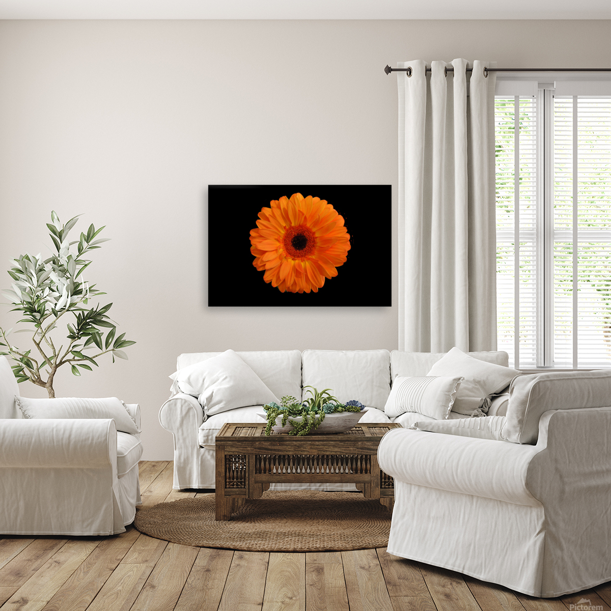 Orangebom 1 Reproduction