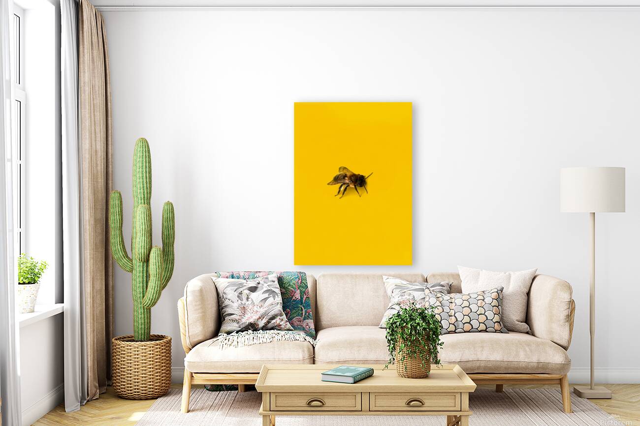HuneeBig 1 Reproduction