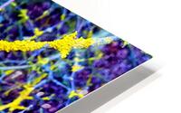 Liken G HD Metal print