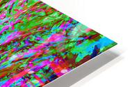Stepz 5 HD Metal print