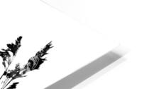 Dunestem 3 HD Metal print