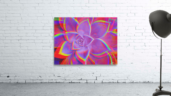 Geo Succulent2 Wall Preview