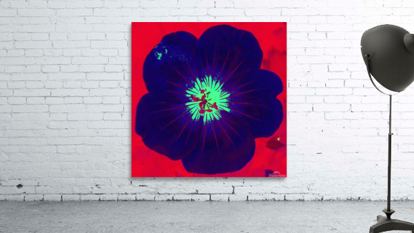 Blue Petl G Wall Preview