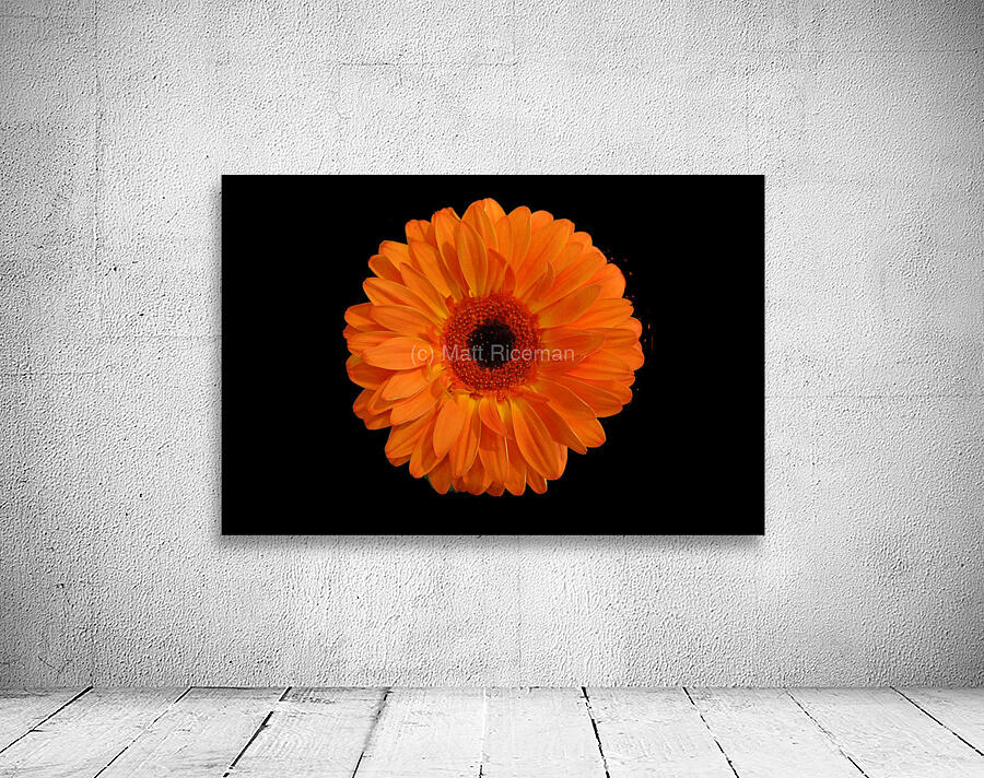 Orangebom 1 Wall Preview