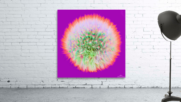 Dandy 3G Wall Preview
