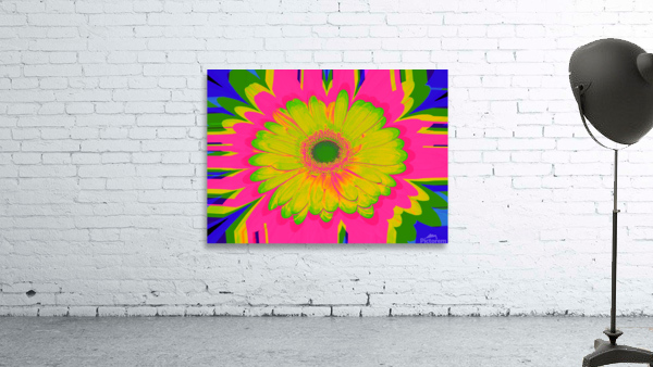 OJ Bloom 8G Wall Preview