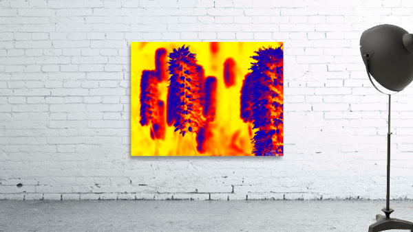 Pops Wall Preview